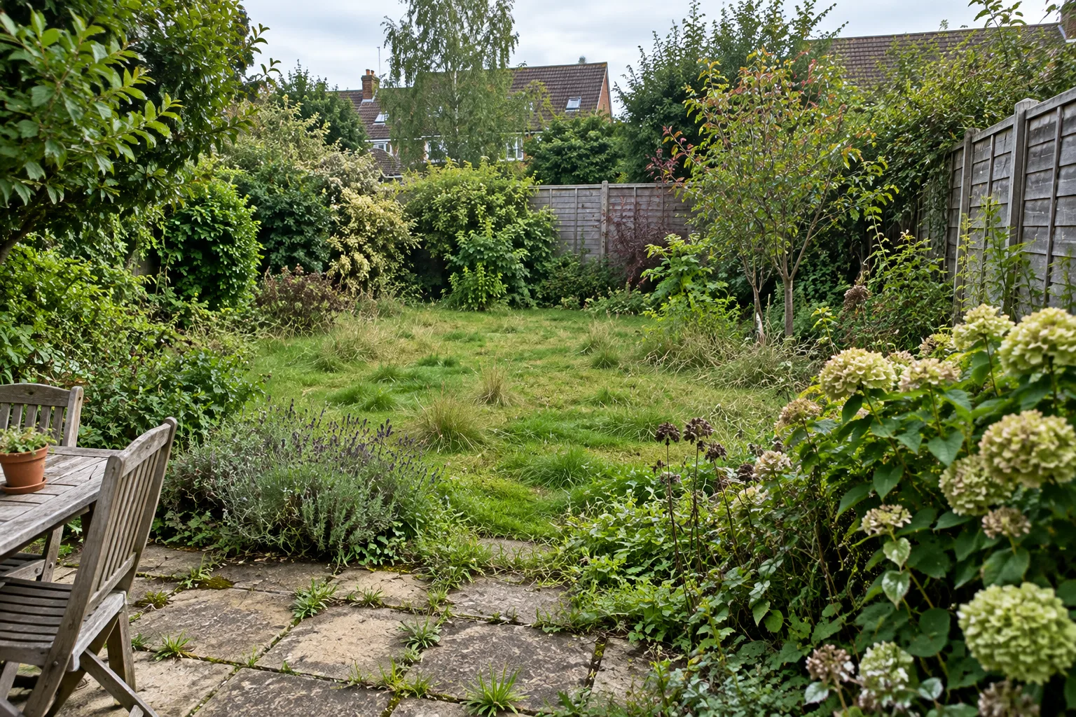 An overgrown local garden with long grass and dense planting