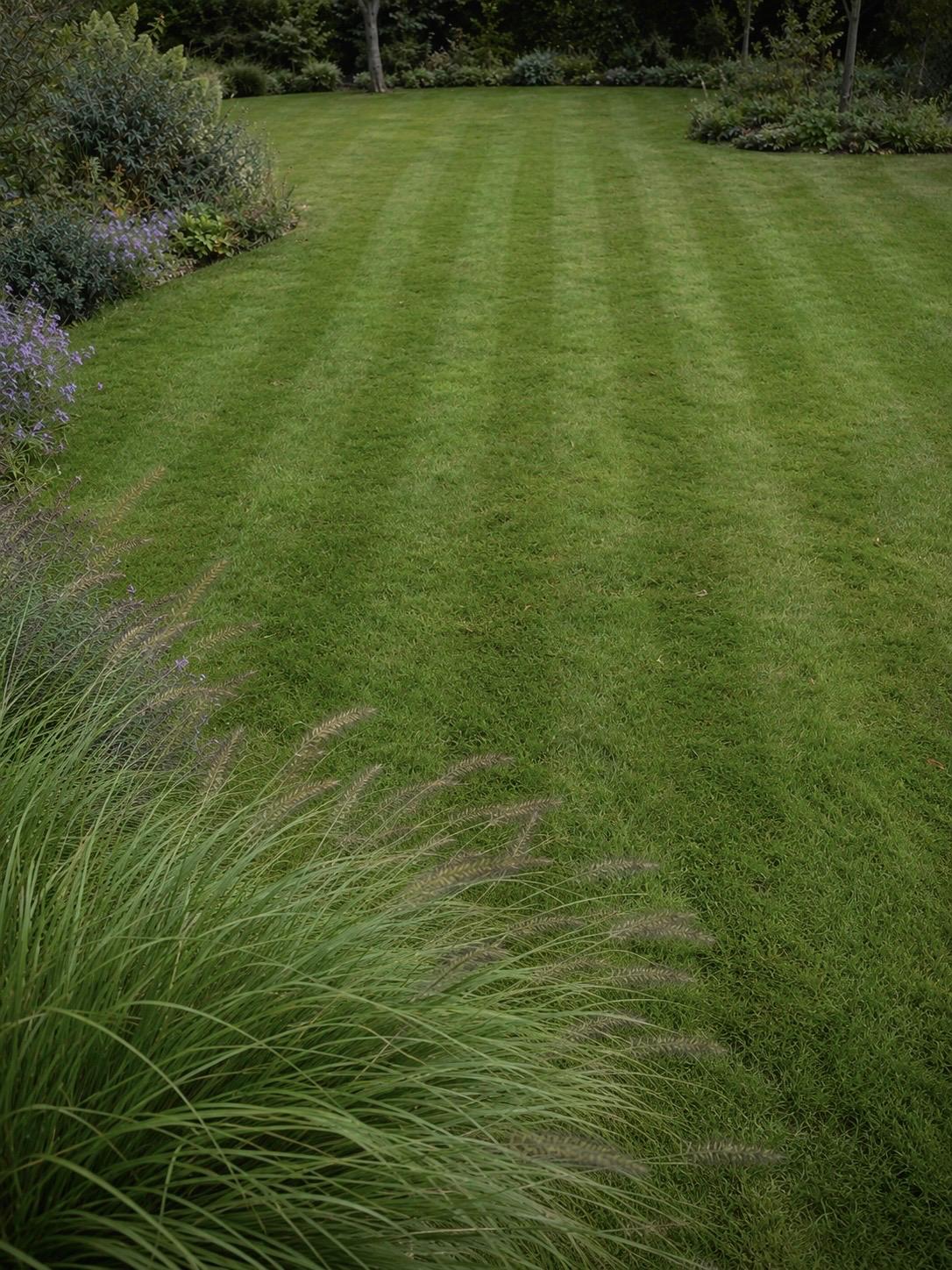A neatly striped lawn surrounded by mature planting